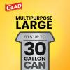 imageGlad Large Trash Bags ForceFlex with Clorox 30 Gal Mountain Air 50 Ct Package May VaryPineSol