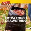 imageGlad Large Trash Bags ForceFlex with Clorox 30 Gal Mountain Air 50 Ct Package May VaryUnscented